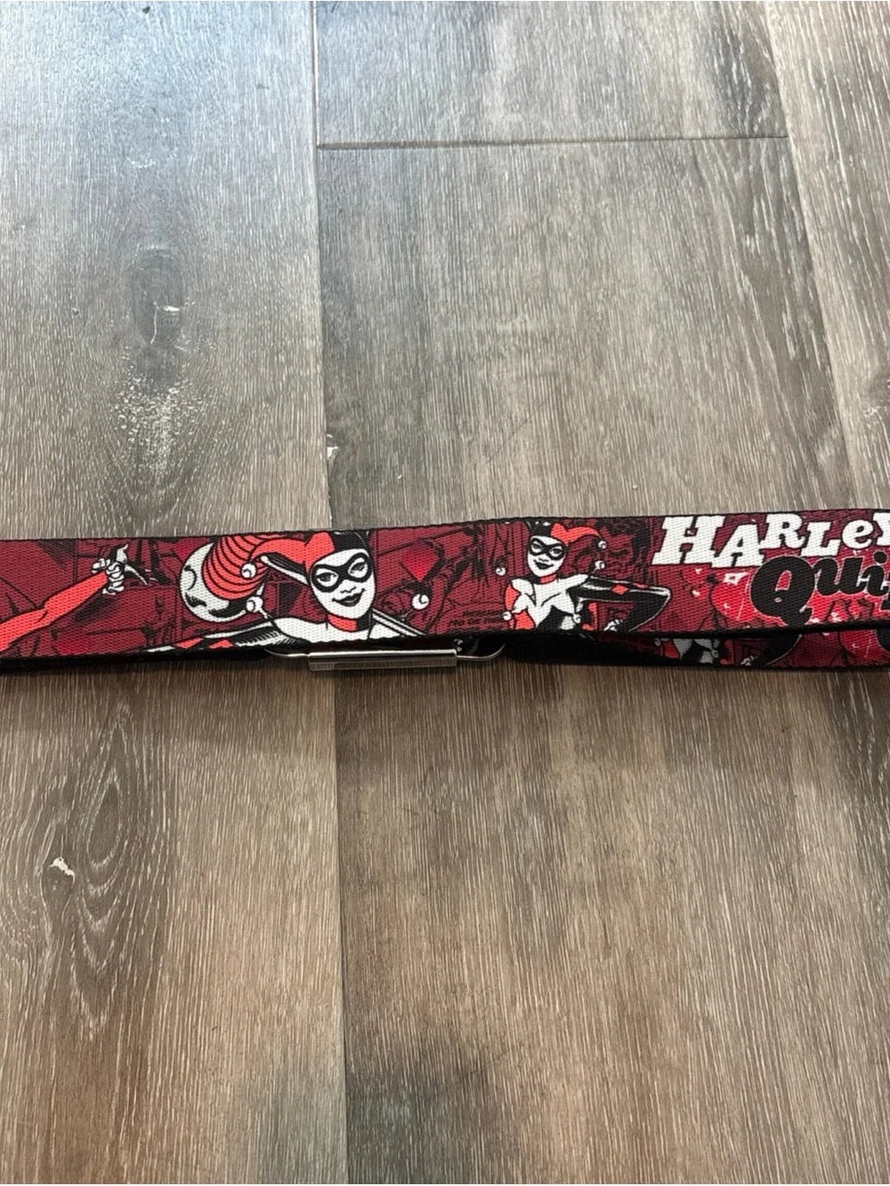 Buckle-Down stylish harley